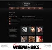 website-design-development-themes-009